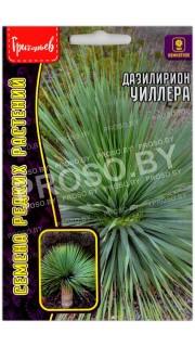 Дазилирион Уиллера