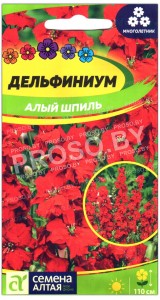Дельфиниум Алый шпиль