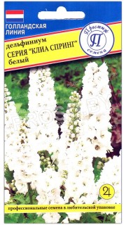 Дельфиниум Белый, серия Клиа спринг