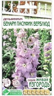 Дельфиниум Бенари пасифик верблюд