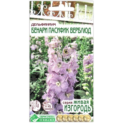Дельфиниум Бенари пасифик верблюд