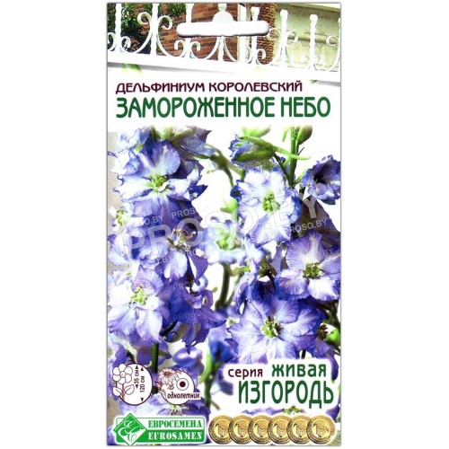 Дельфиниум королевский Замороженное небо