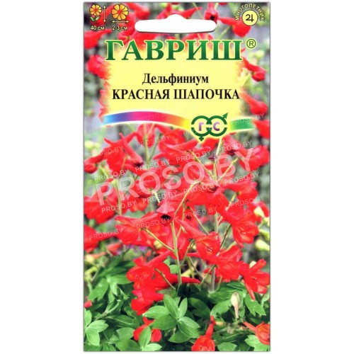 Дельфиниум Красная шапочка