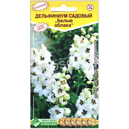 Дельфиниум садовый Белые облака