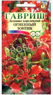 Делоникс королевский Огненный зонтик