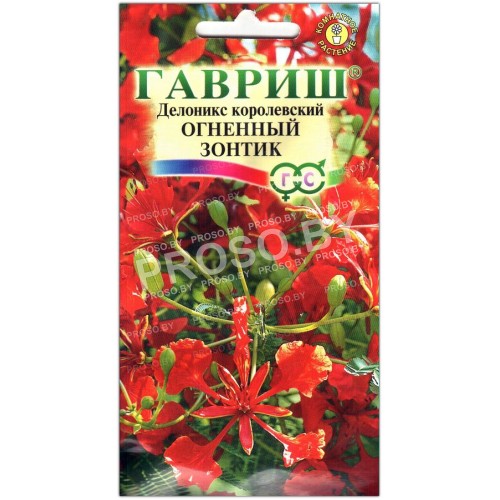 Делоникс королевский Огненный зонтик