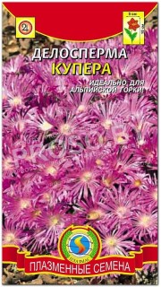 Делосперма Купера