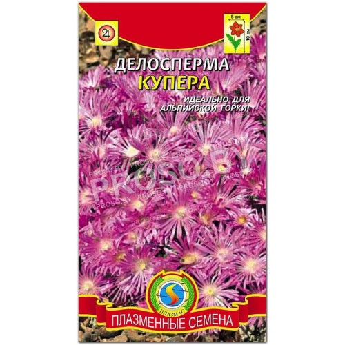 Делосперма Купера