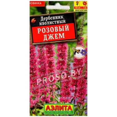 Дербенник иволистный Розовый джем