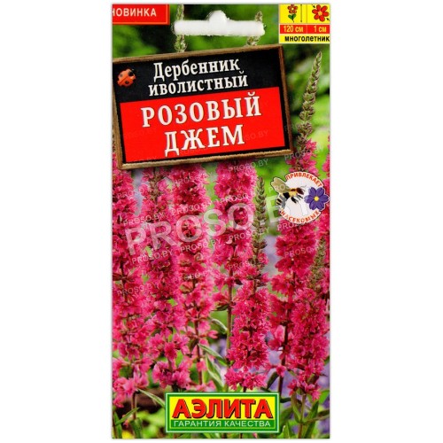 Дербенник иволистный Розовый джем