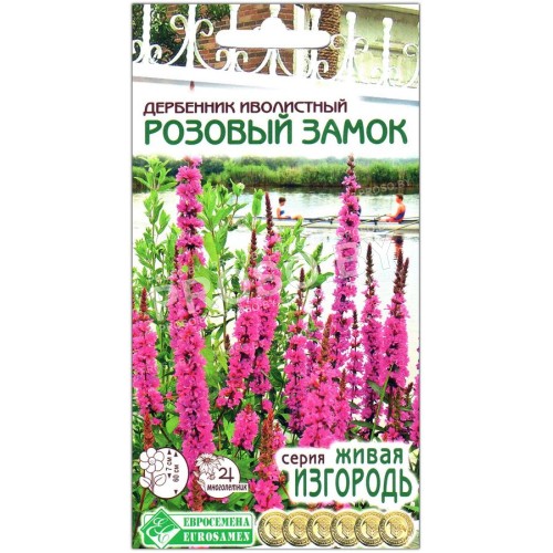 Дербенник иволистный Розовый замок
