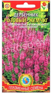 Дербенник Розовый жемчуг