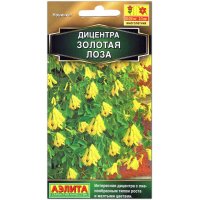 Дицентра лазящая Золотая лоза