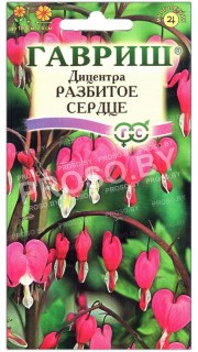 Дицентра Разбитое сердце