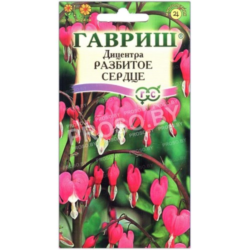 Дицентра Разбитое сердце