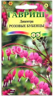 Дицентра Розовые бубенцы