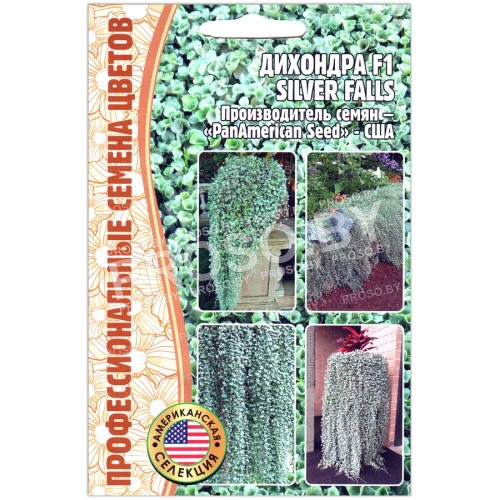 Дихондра Silver falls F1