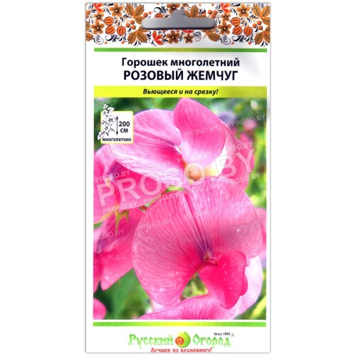 Душистый горошек Розовый жемчуг, многолетний
