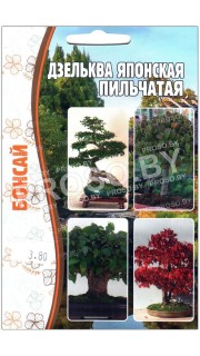 Дзельква японская Пильчатая