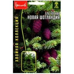 Ель черная Новая Шотландия