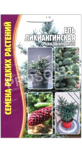 Ель Ликиангинская