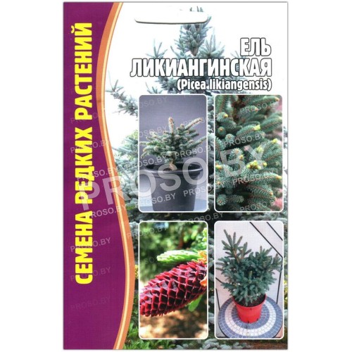 Ель Ликиангинская