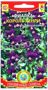 Фиалка Король Хенри