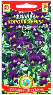 Фиалка Король Хенри