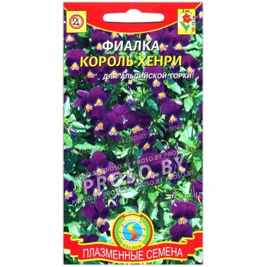 Фиалка Король Хенри