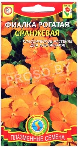 Фиалка рогатая Оранжевая