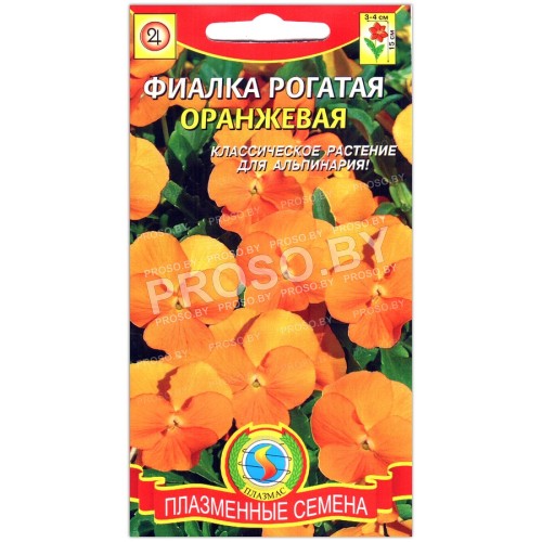 Фиалка рогатая Оранжевая