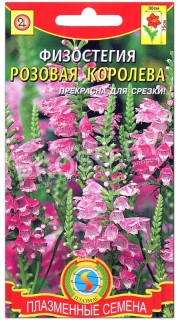 Физостегия Розовая королева