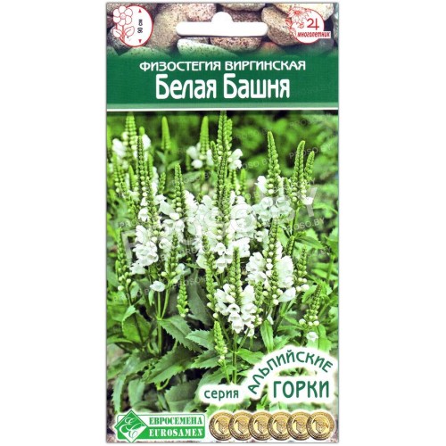 Физостегия виргинская Белая башня