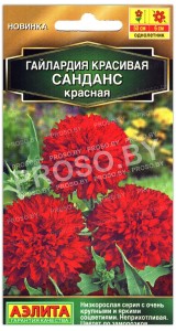 Гайлардия красивая Санданс красная