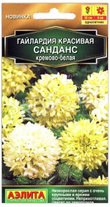 Гайлардия красивая Санданс кремово-белая