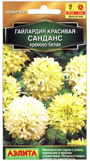 Гайлардия красивая Санданс кремово-белая