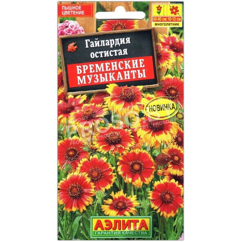 Гайлардия остистая Бременские музыканты