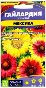 Гайлардия остистая Мексика