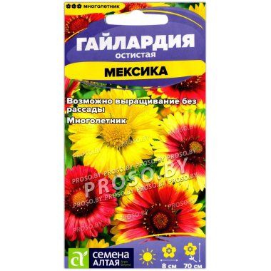 Гайлардия остистая Мексика