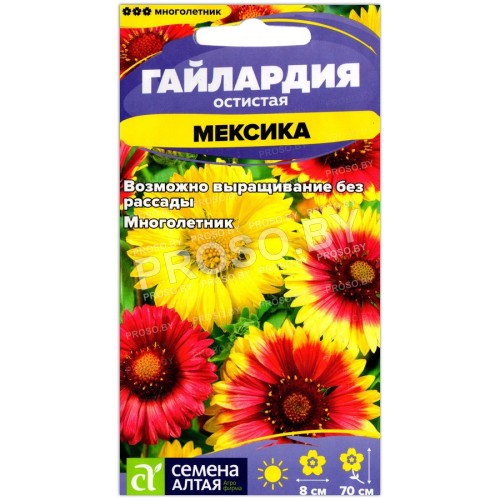 Гайлардия остистая Мексика