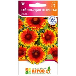 Гайллардия остистая Факел