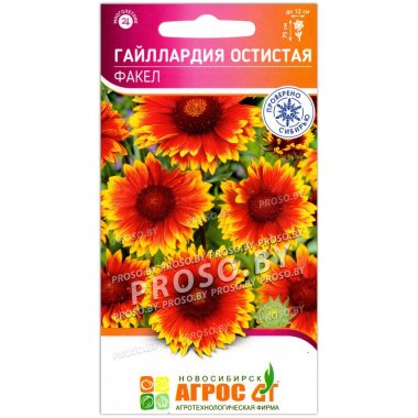 Гайллардия остистая Факел