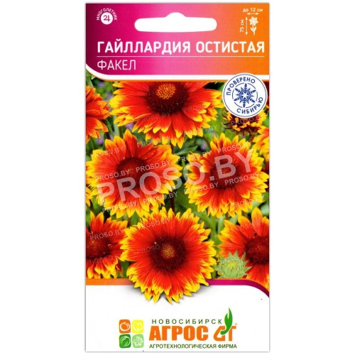 Гайллардия остистая Факел