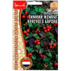 Гаультерия Зимний жемчуг красного барона