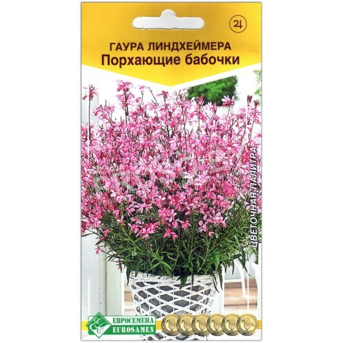 Гаура линдхеймера Порхающие бабочки
