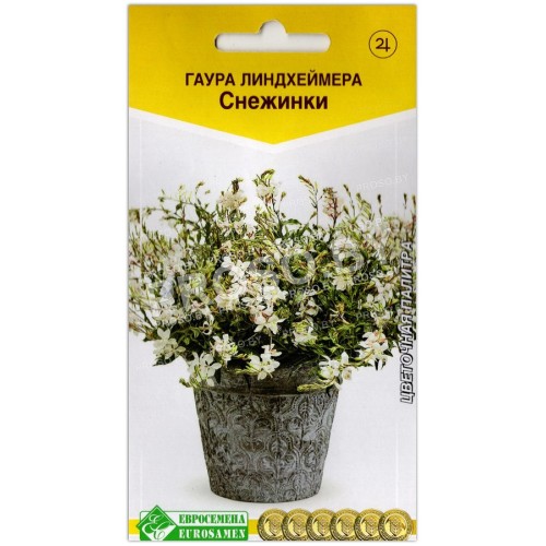 Гаура линдхеймера Снежинки