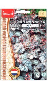 Гейхера американская Marvelous marble F1
