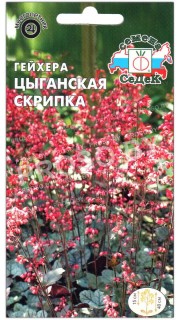 Гейхера Цыганская скрипка