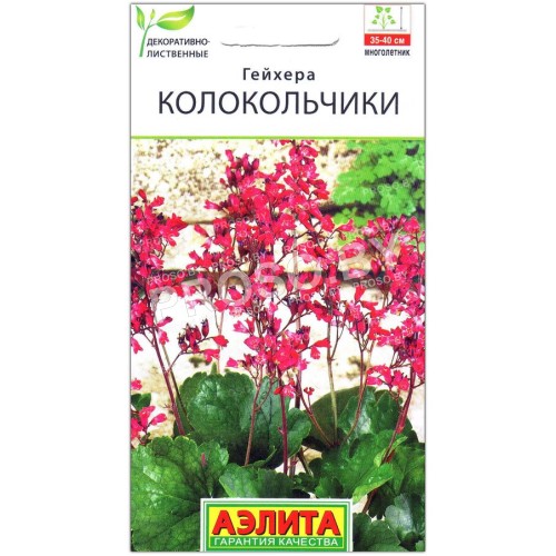 Гейхера Колокольчики