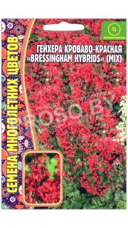 Гейхера кроваво-красная Bressingham hybrids mix